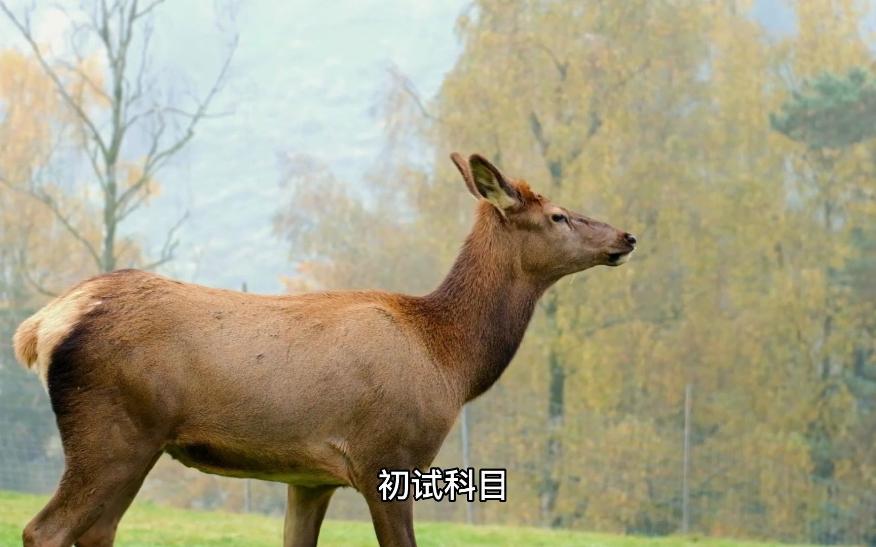 中山大学应用心理专硕招生信息分享哔哩哔哩bilibili