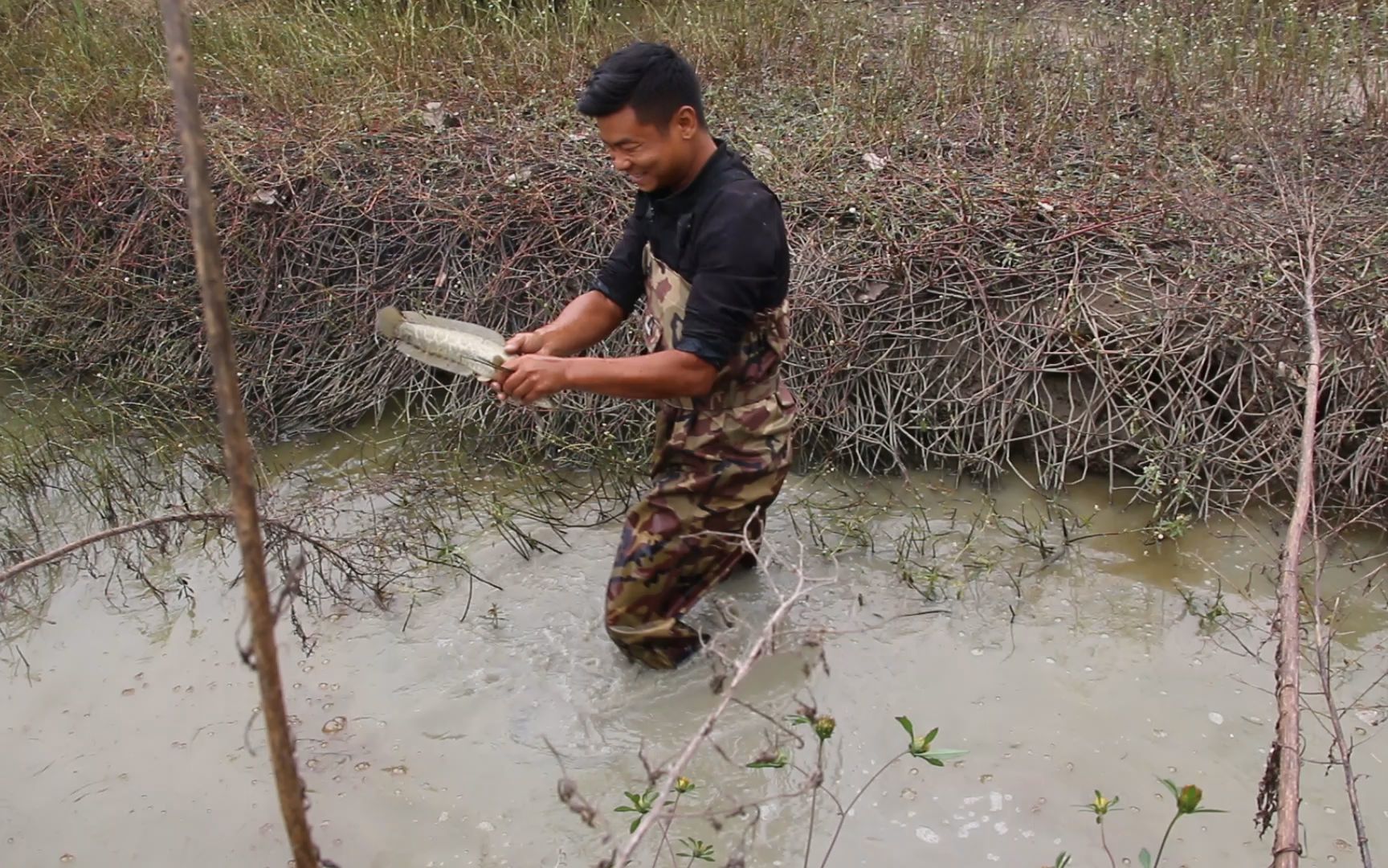 户外小猛哥:秋收季节要割稻,小猛哥稻虾田抬网抓鱼,徒手上货大黑鱼真