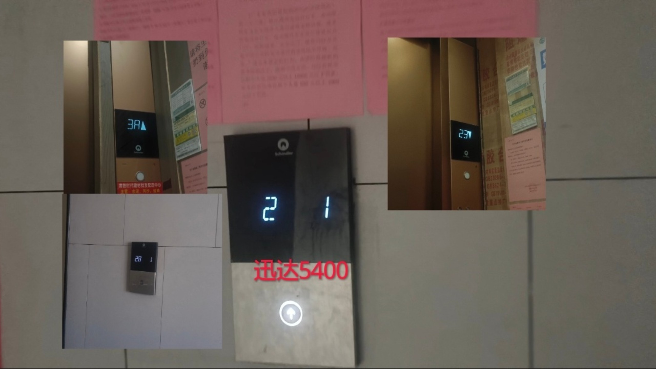 河源君临时代1栋的讯达5400电梯