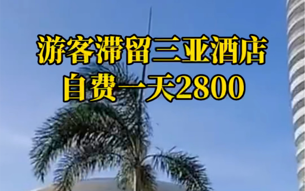 游客滞留三亚酒店自费一天2800,计划被打乱哔哩哔哩bilibili