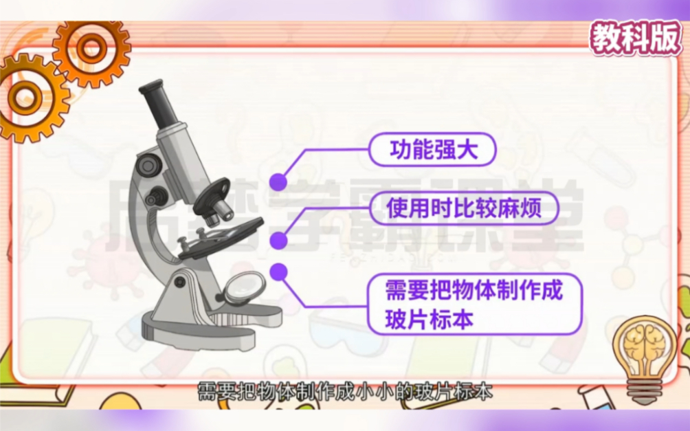 六年级上册科学 《观察洋葱表皮细胞》教科版,暑假预习,提前学习,打好基础,为初中做准备,初中再学生物、地理、物理、化学便简单多了!哔哩哔哩...