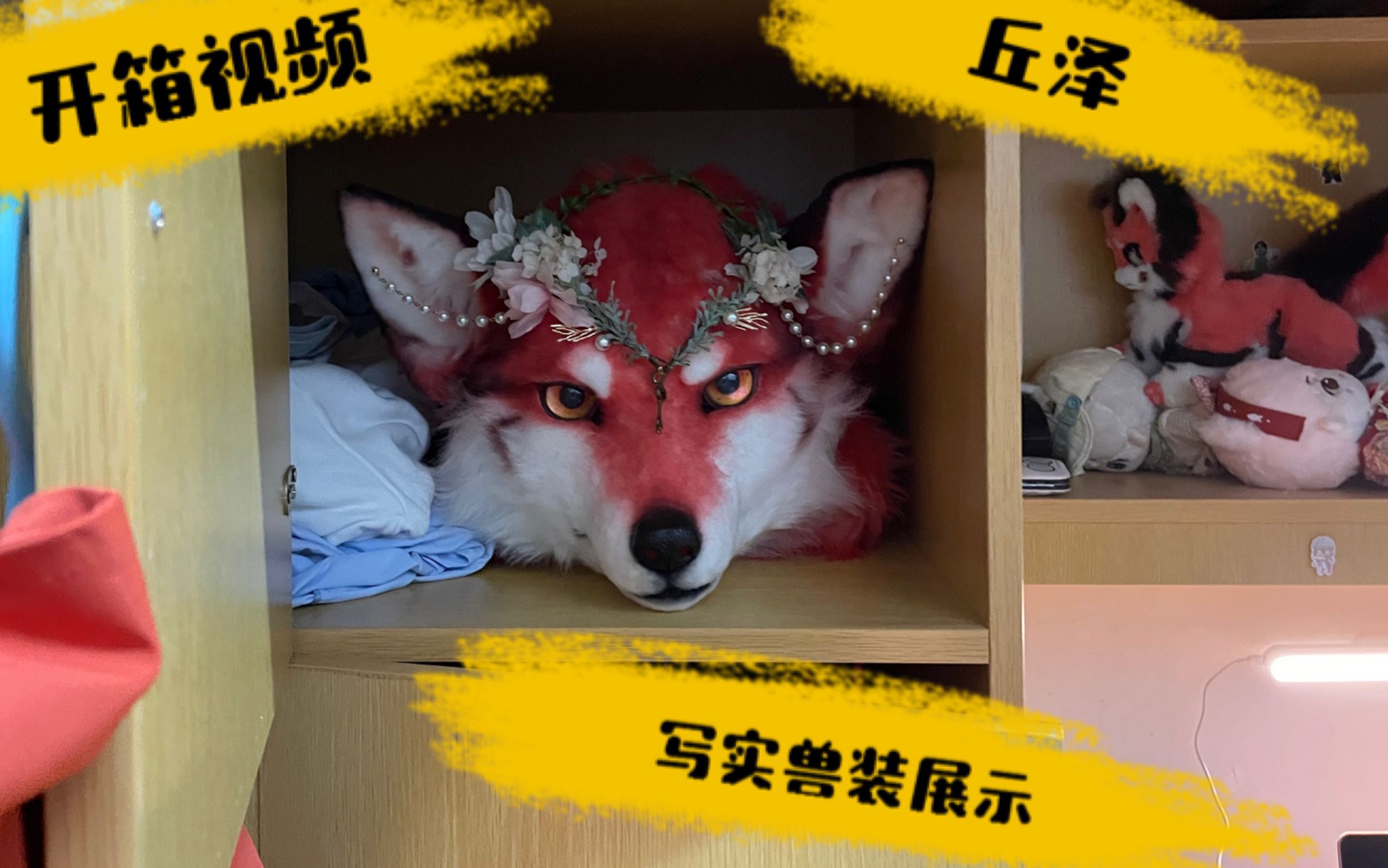 【fursuit兽装开箱】丘泽的开箱视频!写实兽装展示哔哩哔哩bilibili