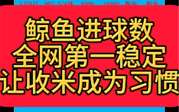 519日鲸鱼进球数推荐,还在观望的兄弟看鲸鱼签名上高速哔哩哔哩bilibili