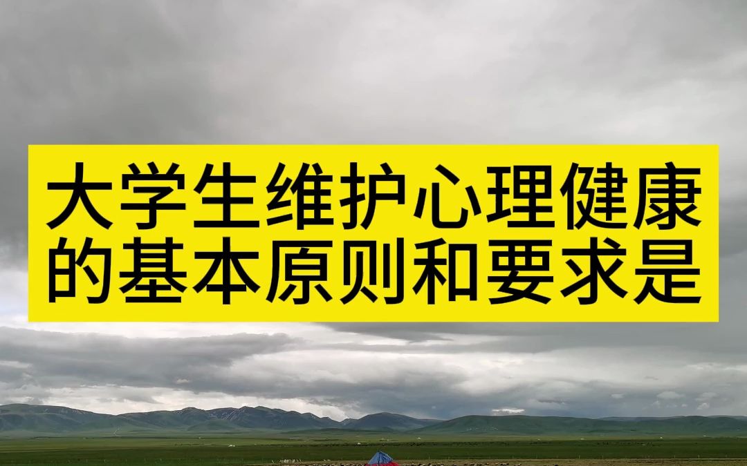 大学生维护心理健康的基本原则和要求是哔哩哔哩bilibili