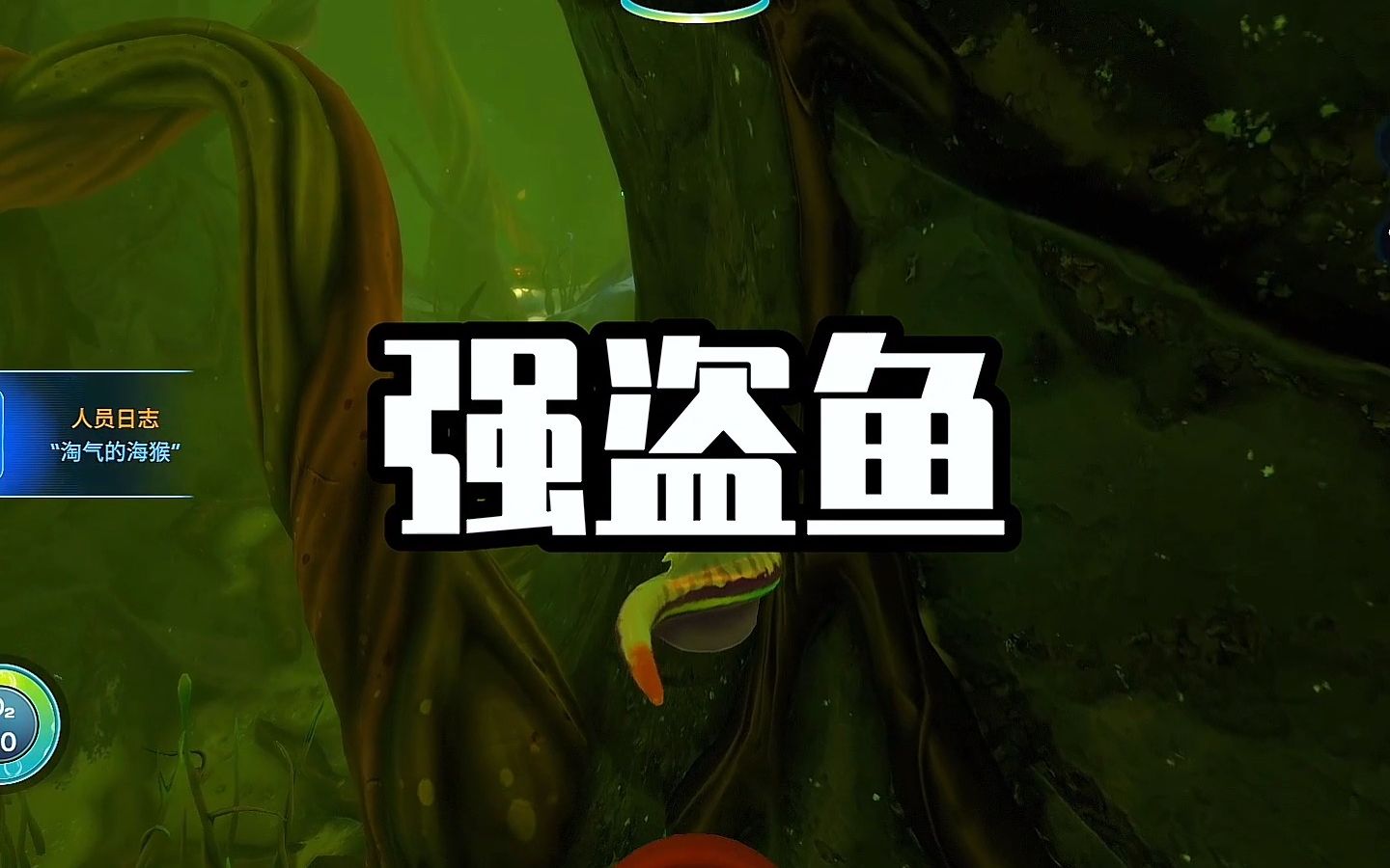 海猴就跟强盗一样抢东西-真的玩物涨智-真的玩物涨智-哔哩哔哩视频
