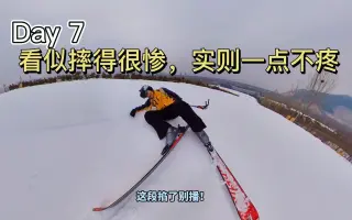 鹤弯 搜索结果 哔哩哔哩 Bilibili