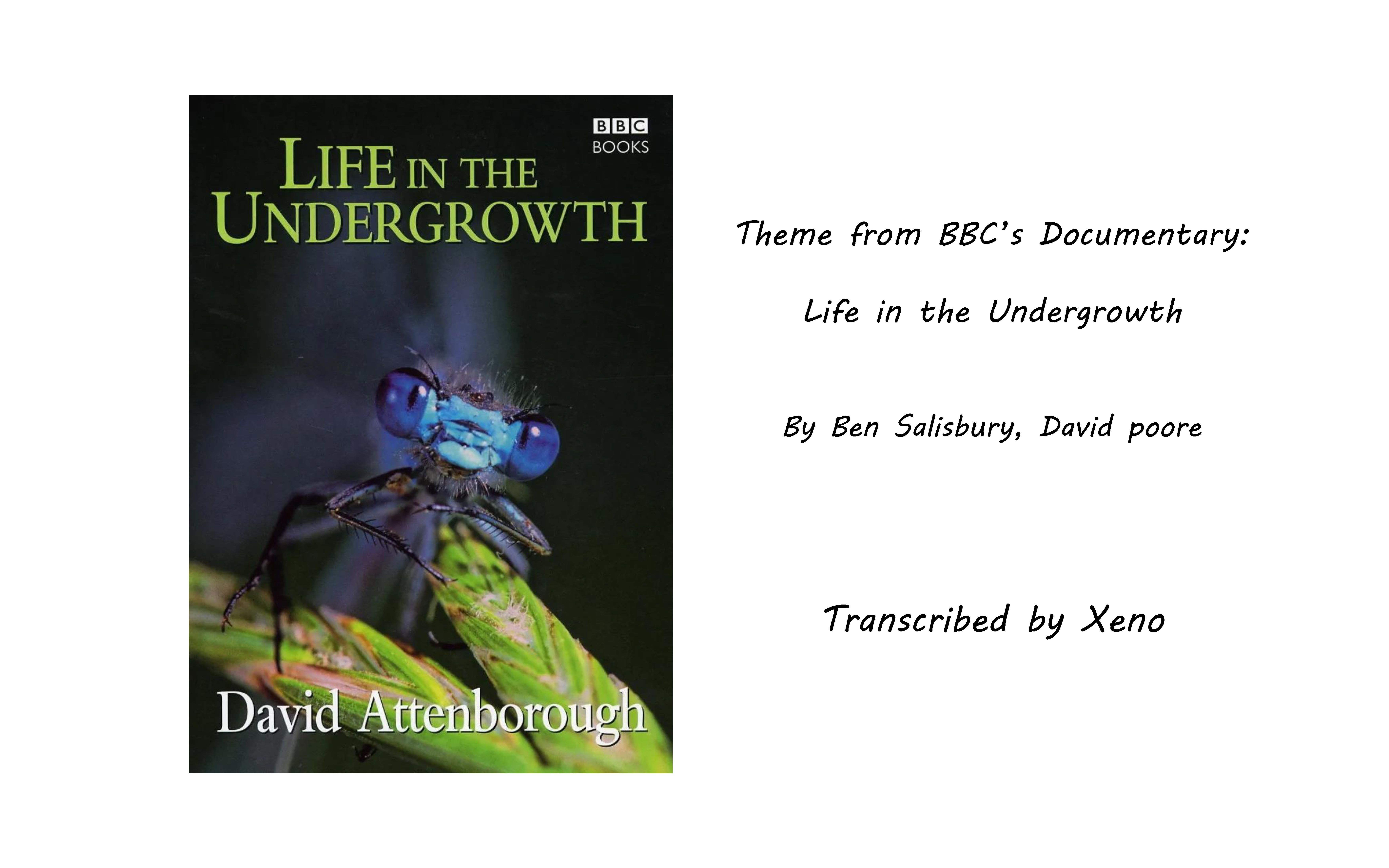 [图]【曲谱同步】Ben Salisbury, David poore——Life in the Undergrowth （林下生命、灌丛下的生命）