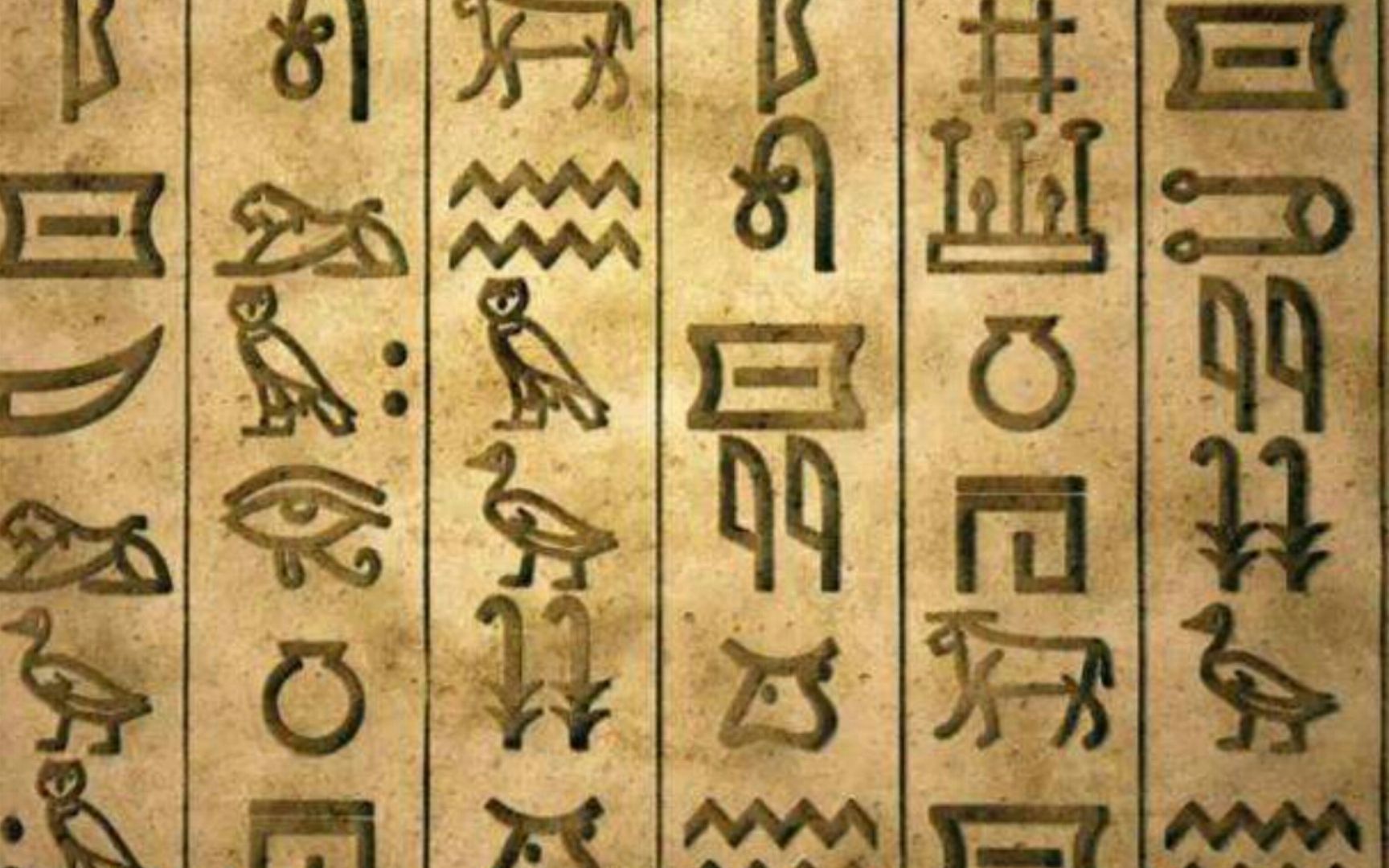 古埃及芦苇笔图片