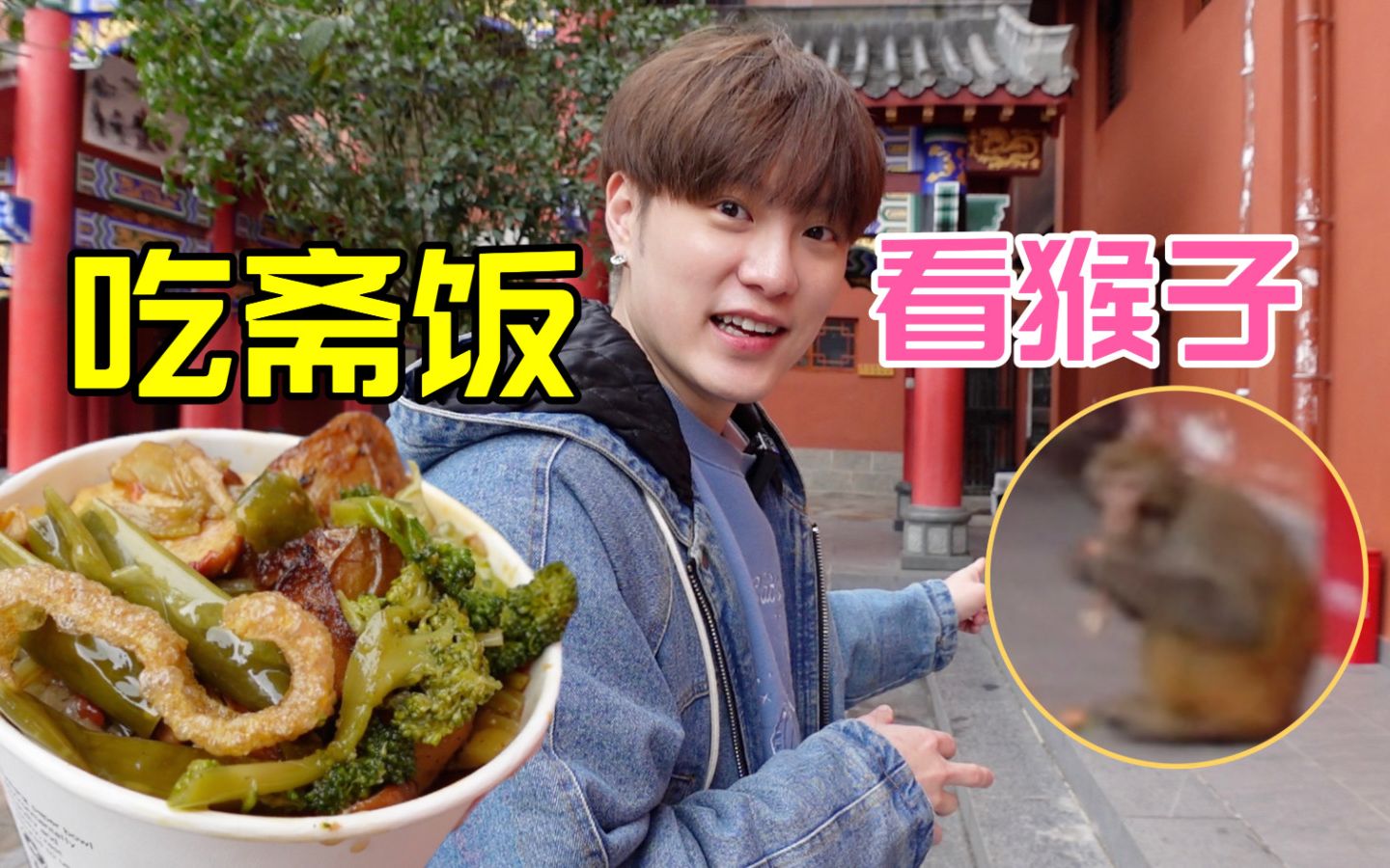 试吃贵阳10元斋饭,黔灵山猴子在线陪吃!