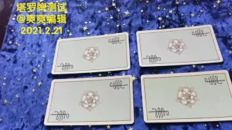 Download Video: 【爽爽大众占卜合集：你未来伴侣什么性格？】