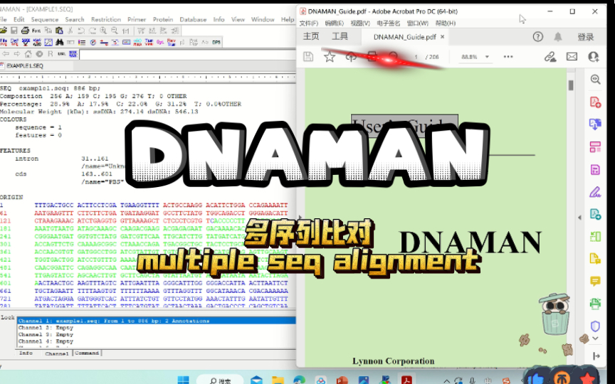 DNAMAN 软件^^ 多序列比对 multiple alignment哔哩哔哩bilibili