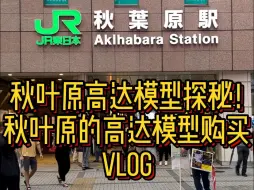 Download Video: 秋叶原高达购买VLOG