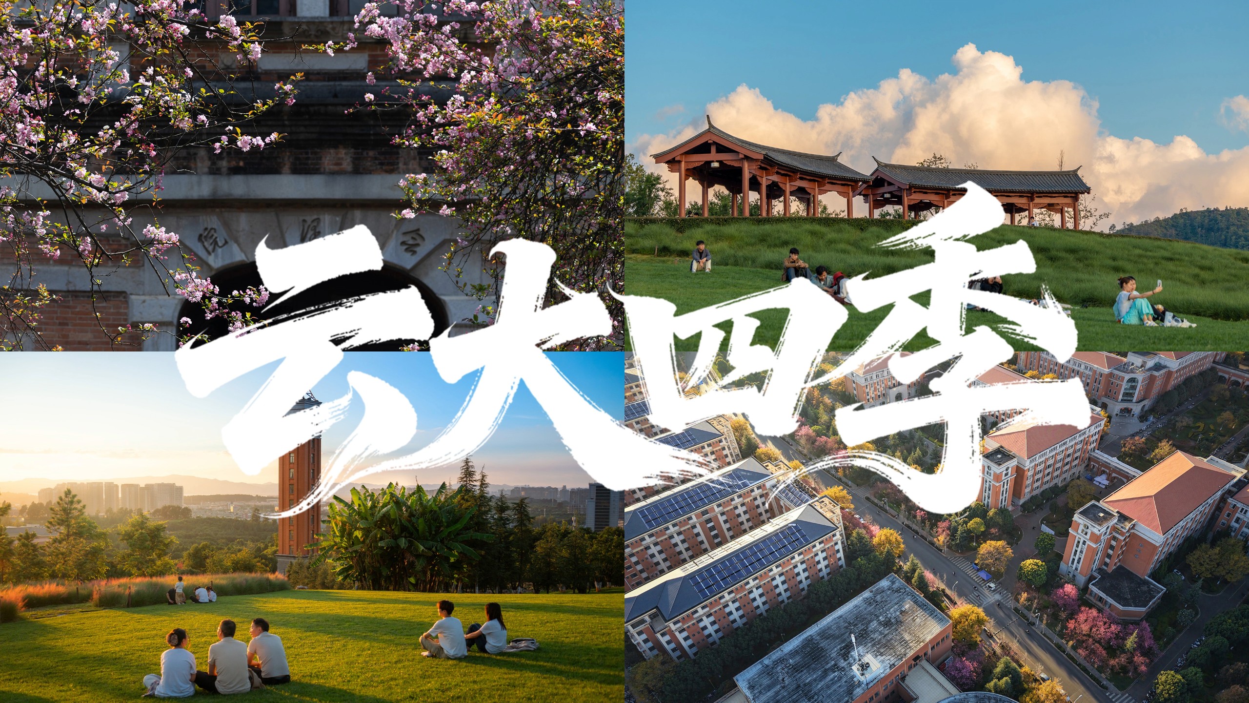 【云南大学】春光为序，向新而行，同学们跟随小云的镜头穿越云大四季，一起开启新学期的绚烂篇章吧~