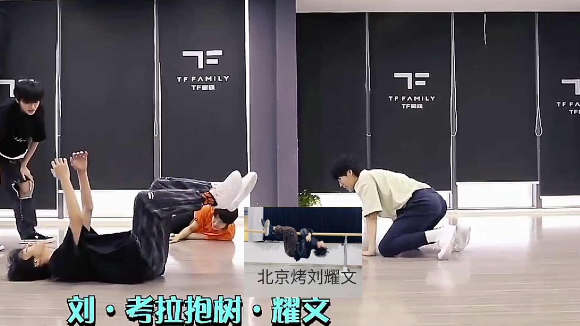 时代少年团邀您参观时代动物园47