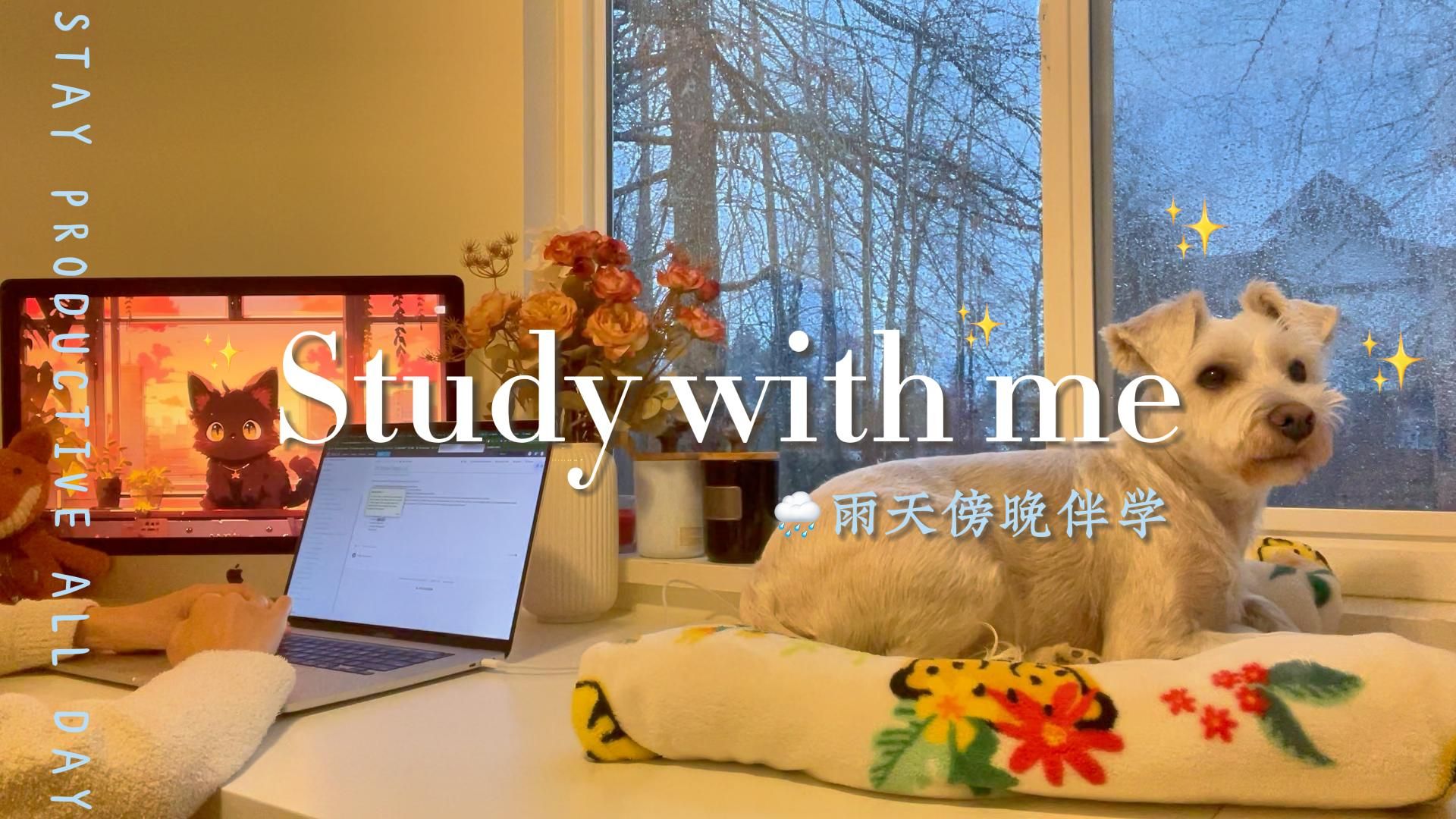 [图]Study With Me·傍晚雨天治愈伴学📚 | 禁止摆烂，战胜懒惰 | 1小时倒计时 | 白噪音·雨声·轻音乐