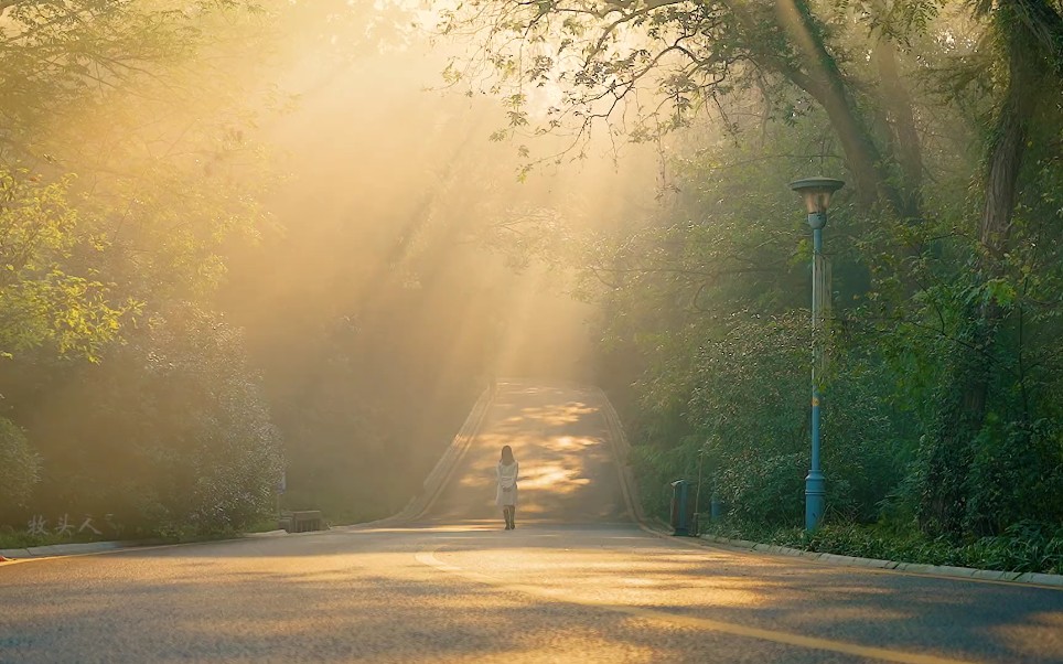 这个秋天总要去一次南京吧,因为梧桐大道清晨洒下的丁达尔光,真的太