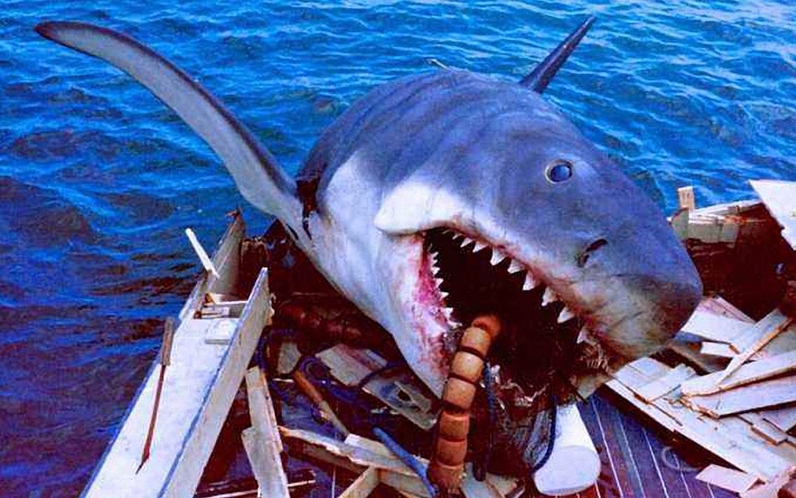 恐怖食人鲨电影图片