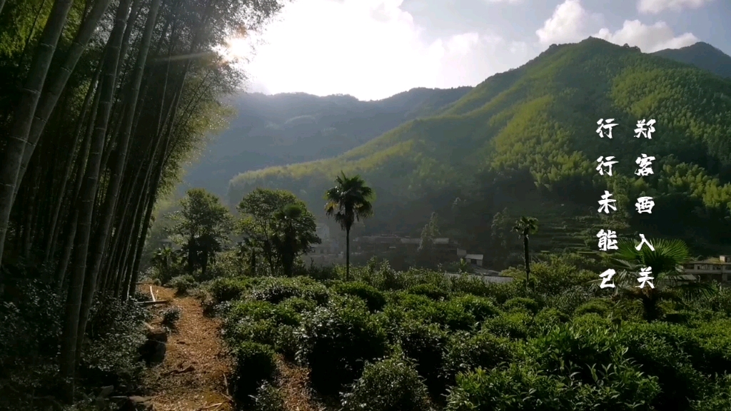 [图]古风五十九首•其三十一 唐 李白