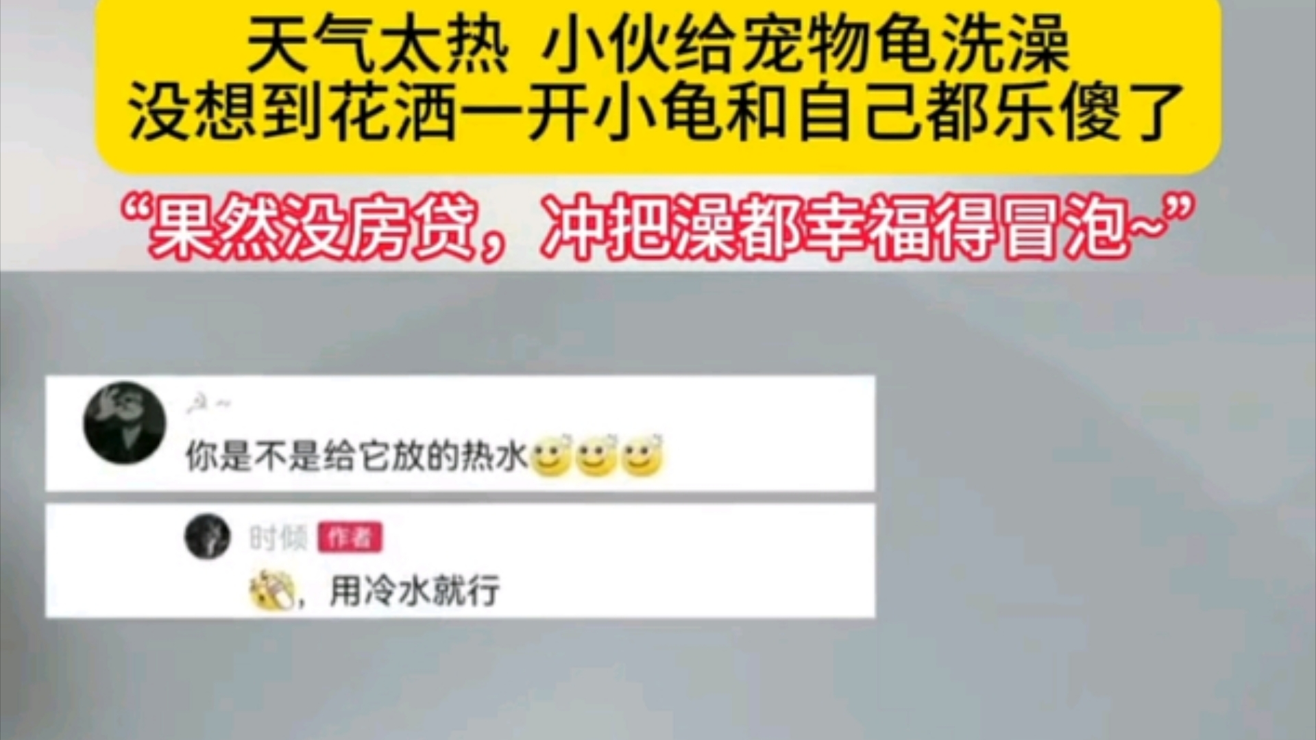 天气太热 小伙给宠物龟洗澡 没想到花洒一开小龟和自己都乐傻了,“果然没房贷,冲把澡都幸福得冒泡~”哔哩哔哩bilibili