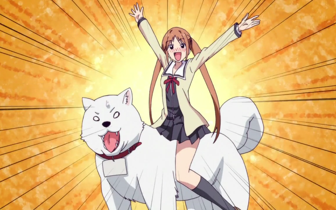 【笨女孩】拱墅驾校特别学员篇:头文字狗~!