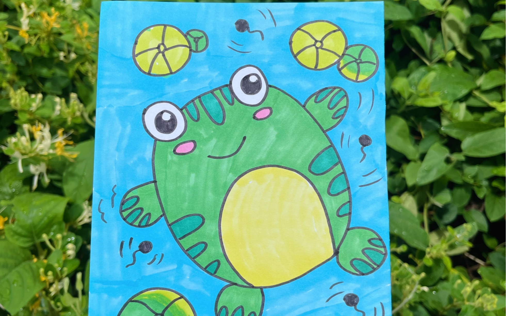 二年级小青蛙的画图片