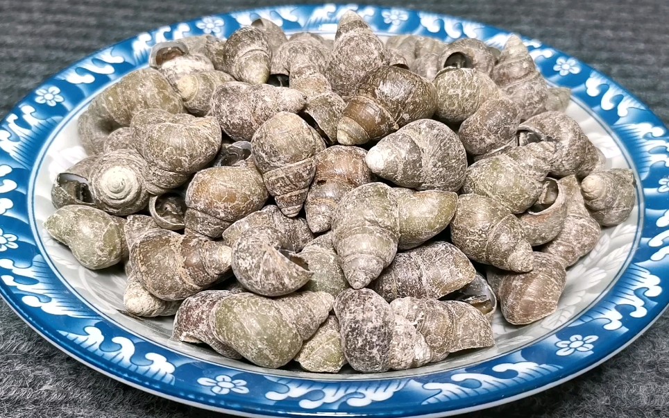 盐焗螺蛳真确的做法,简单易学,做出来原汁原味