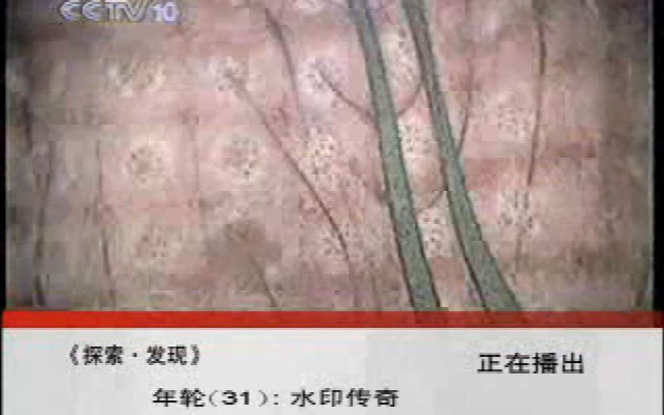 [图]2007.6.19【丁亥年五月初五】中国中央电视台科教频道探索发现节目中场广告