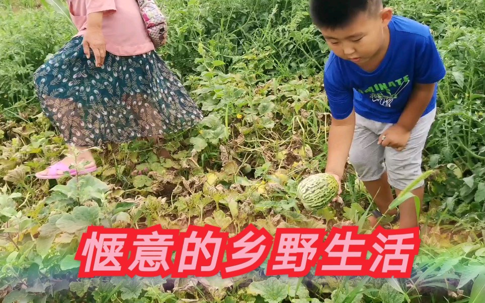 [图]三个宝宝的幸福生活，去地里采摘有机无的甜瓜，去市场买个大母鸡晚上吃，去地铁接爸爸，幸福的一家人。