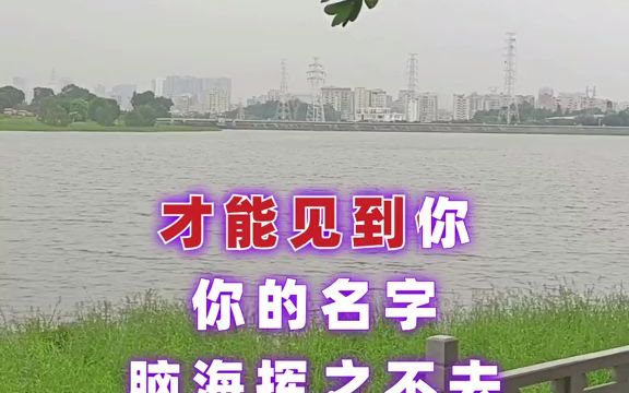 [图]昨夜梦里都是你#情感音乐#音乐分享