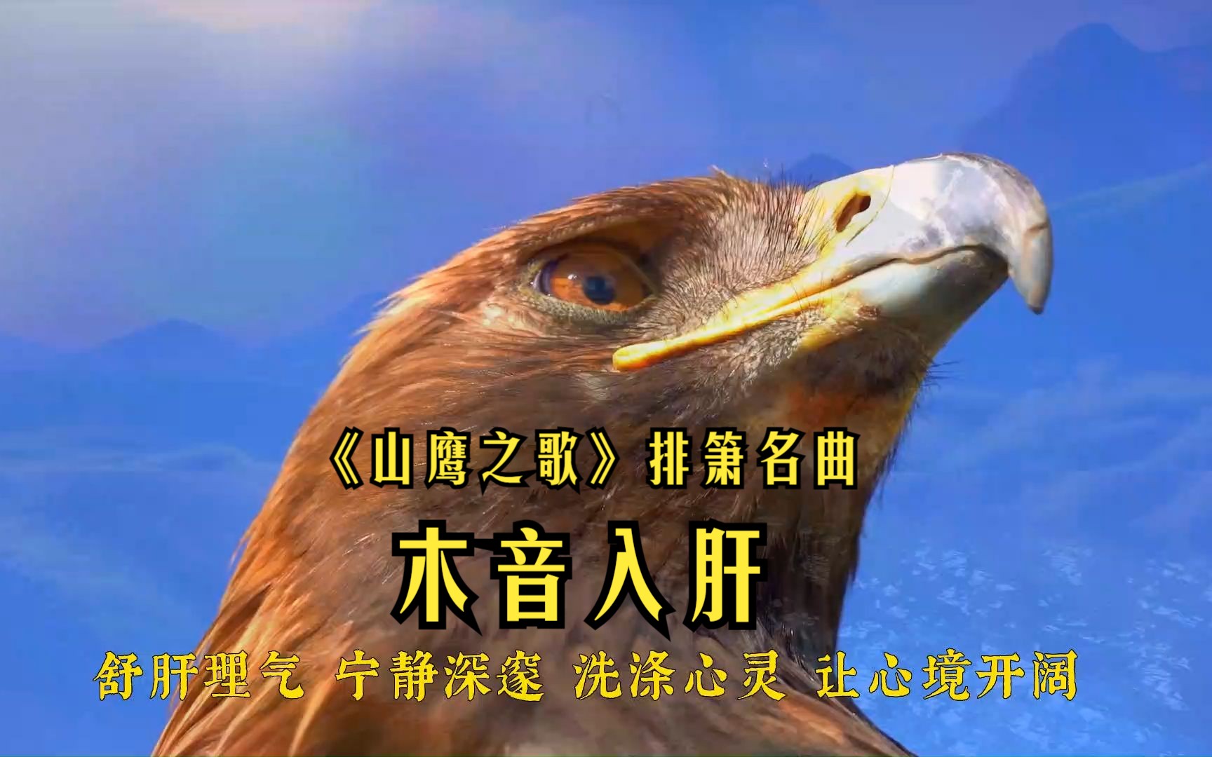 五音疗疾木音入肝 舒心畅气《山鹰之歌》宁静深邃 洗涤心灵 让心境