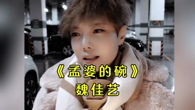 伤感的情歌太虐心!《孟婆的碗》唱的撕心裂肺,听得泪流满面