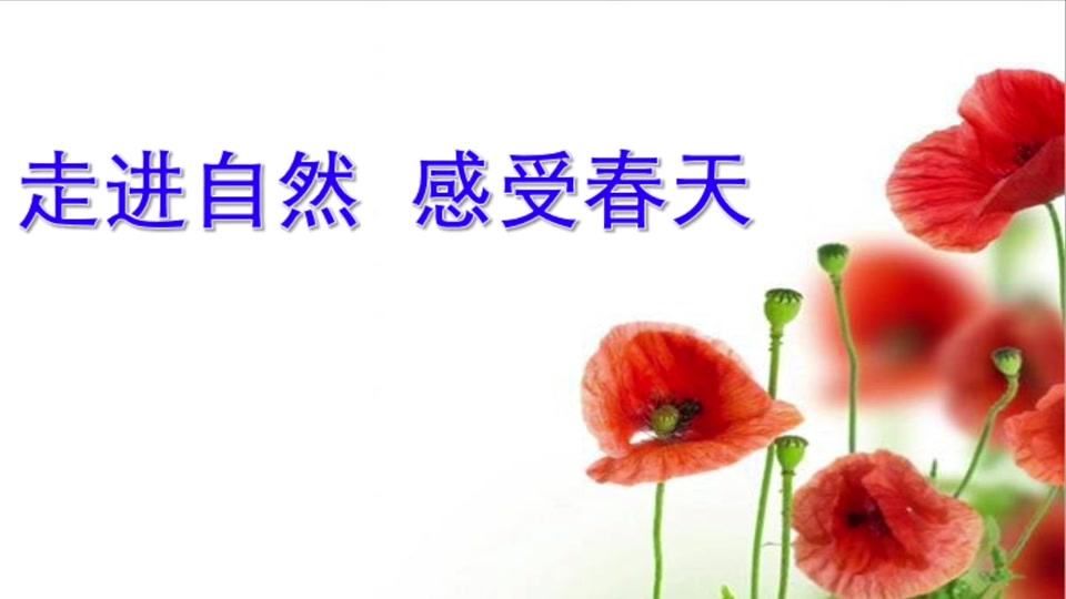 [图]青春起航，放飞梦想！ -----百官中学2019届5班毕业留念