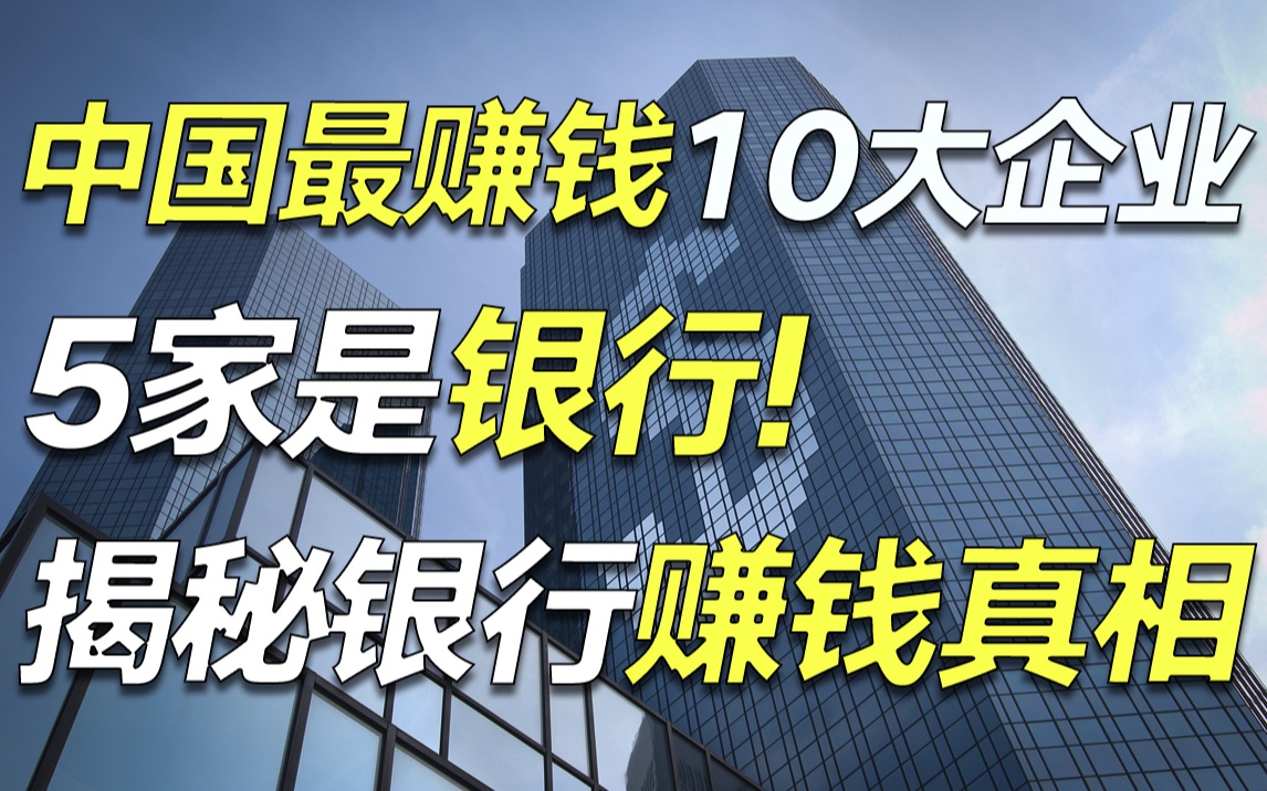 一年利润2.2万亿,六大行干1天=比亚迪干3年:在中国,银行的赚钱真相超乎你的想象!【毯叔盘钱】哔哩哔哩bilibili