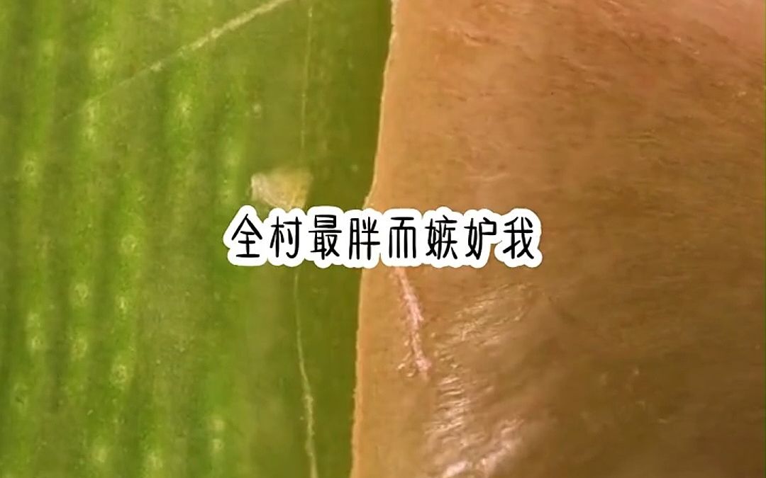 小说推荐《极尽香水》哔哩哔哩bilibili