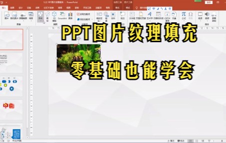 【PPT技巧】PPT图片纹理填充零基础教程哔哩哔哩bilibili