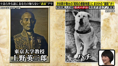Iko Team 众说纷纭 忠犬八公秋田美人加加林背后的故事 哔哩哔哩 Bilibili Iko Team 众说纷纭 忠犬八公秋田美人加加林背后的故事 哔哩哔哩 Bilibili