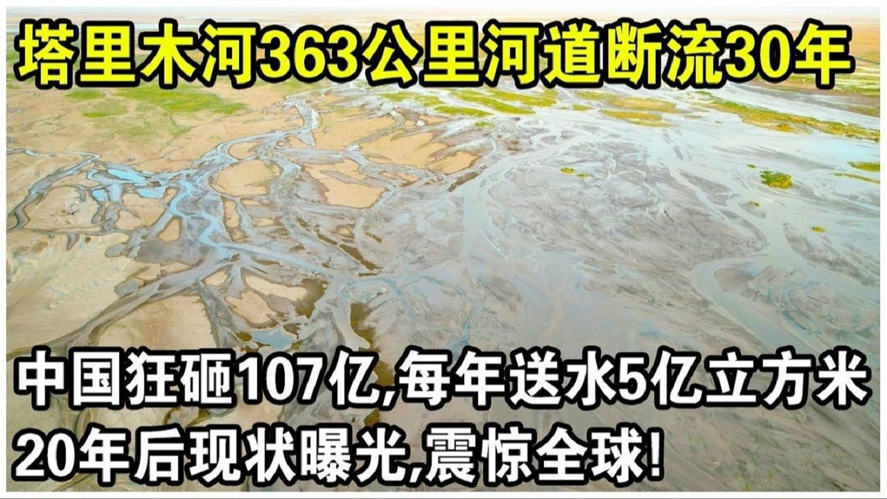 塔里木河363公里河道断流30年,中国狂砸107亿,每年送水至少5亿立方米! 20年后现况首次曝光哔哩哔哩bilibili