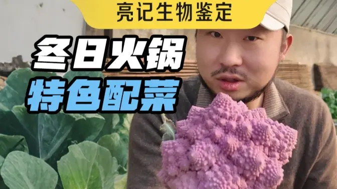 火锅普通，配菜就不普通
