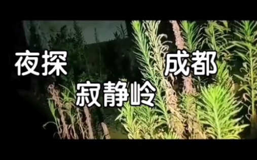 [图]不可思议！自驾游遭遇灵异事件？！探险成都寂静岭的神秘面纱！！！