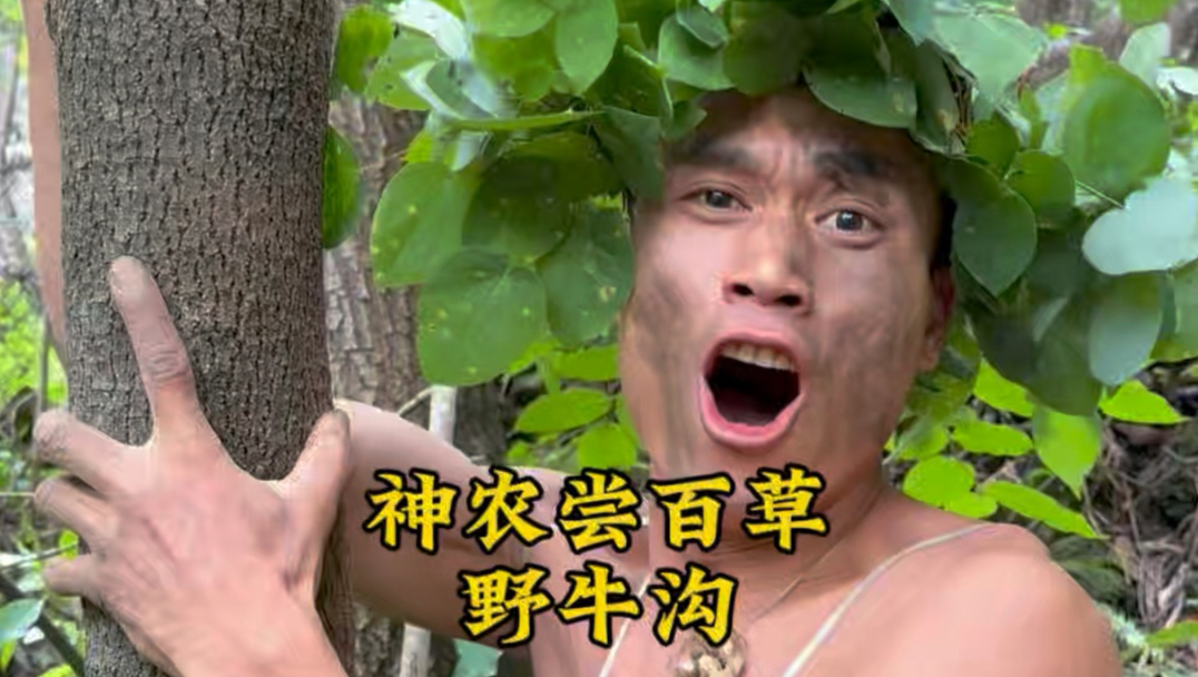 有点顶不住了兄弟们！