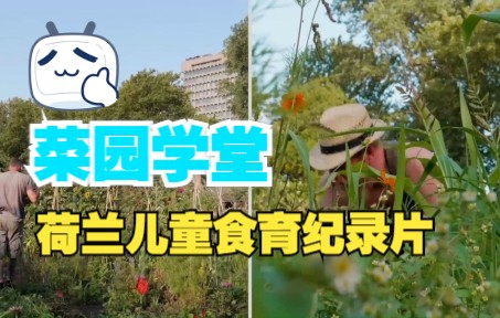 [图]《菜园学堂》暑假里的学校菜园，孩子们不在的时候什么样呢？