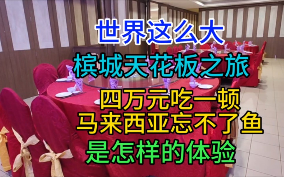 槟城天花板之旅,四万元吃一顿马来西亚忘不了鱼,是怎样的体验哔哩哔哩bilibili