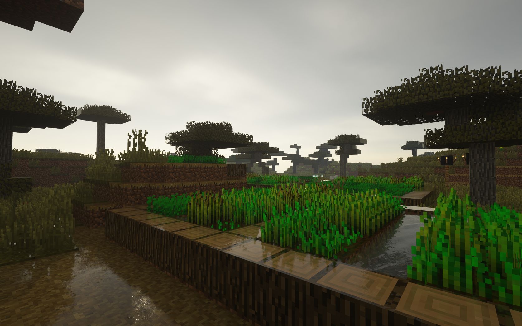 我的世界光追体验