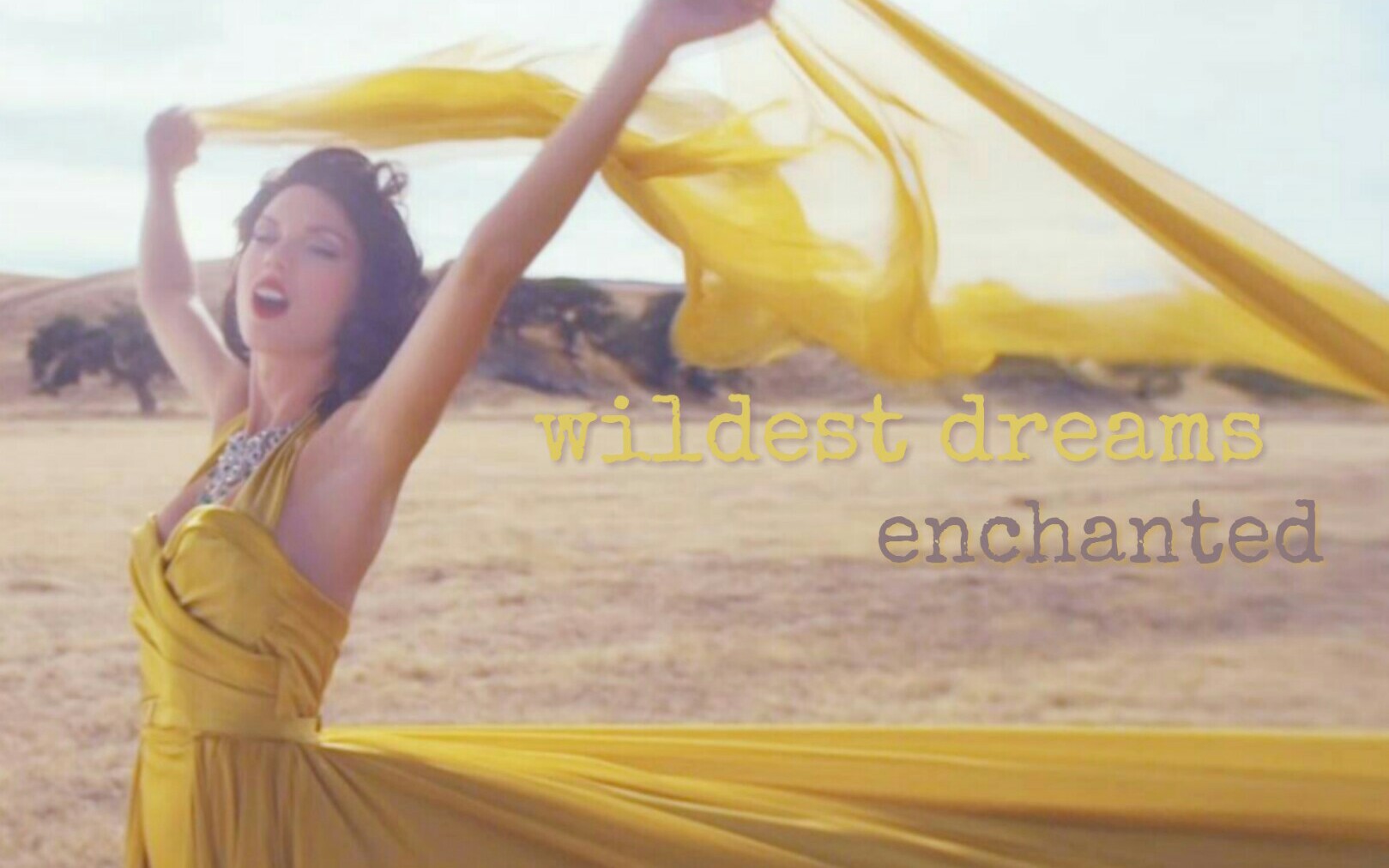 [图]【野梦】我最爱的-Enchanted&Wildest Dreams