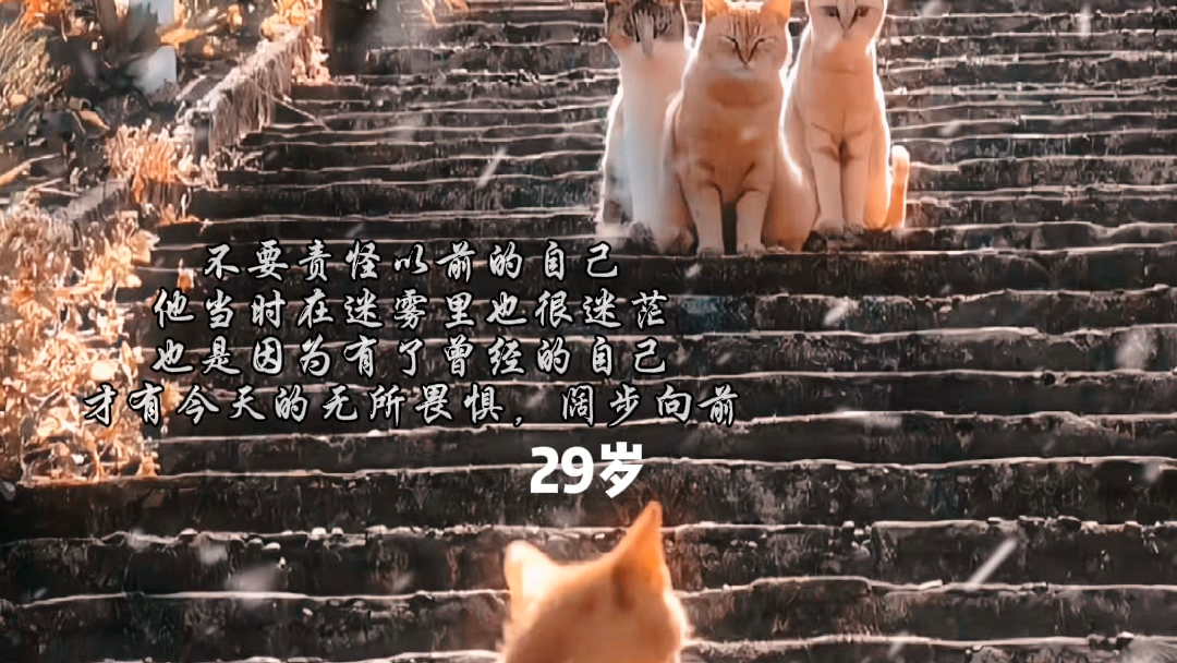 不要责怪以前的自己他当时在迷雾里也很迷茫也是因为有了曾经的自己才