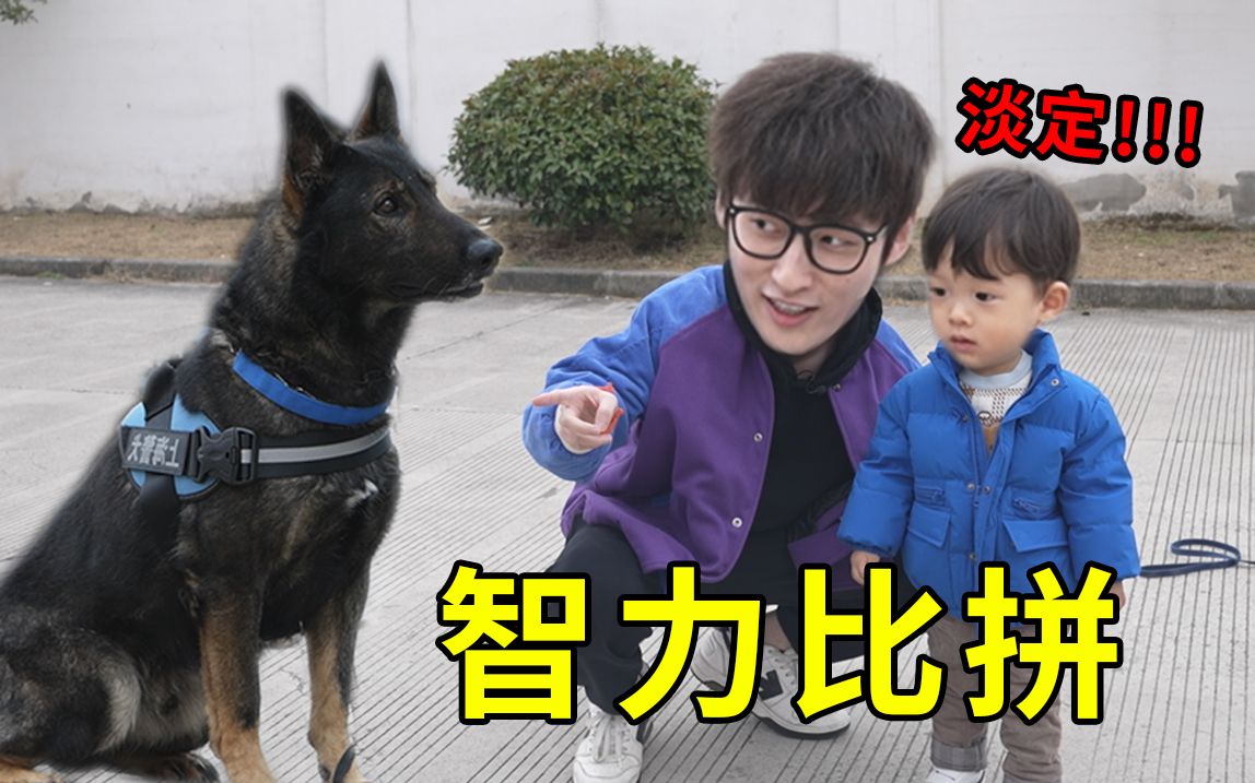 [图]2岁人类幼崽 vs 2岁警犬，竟然打成平手？！