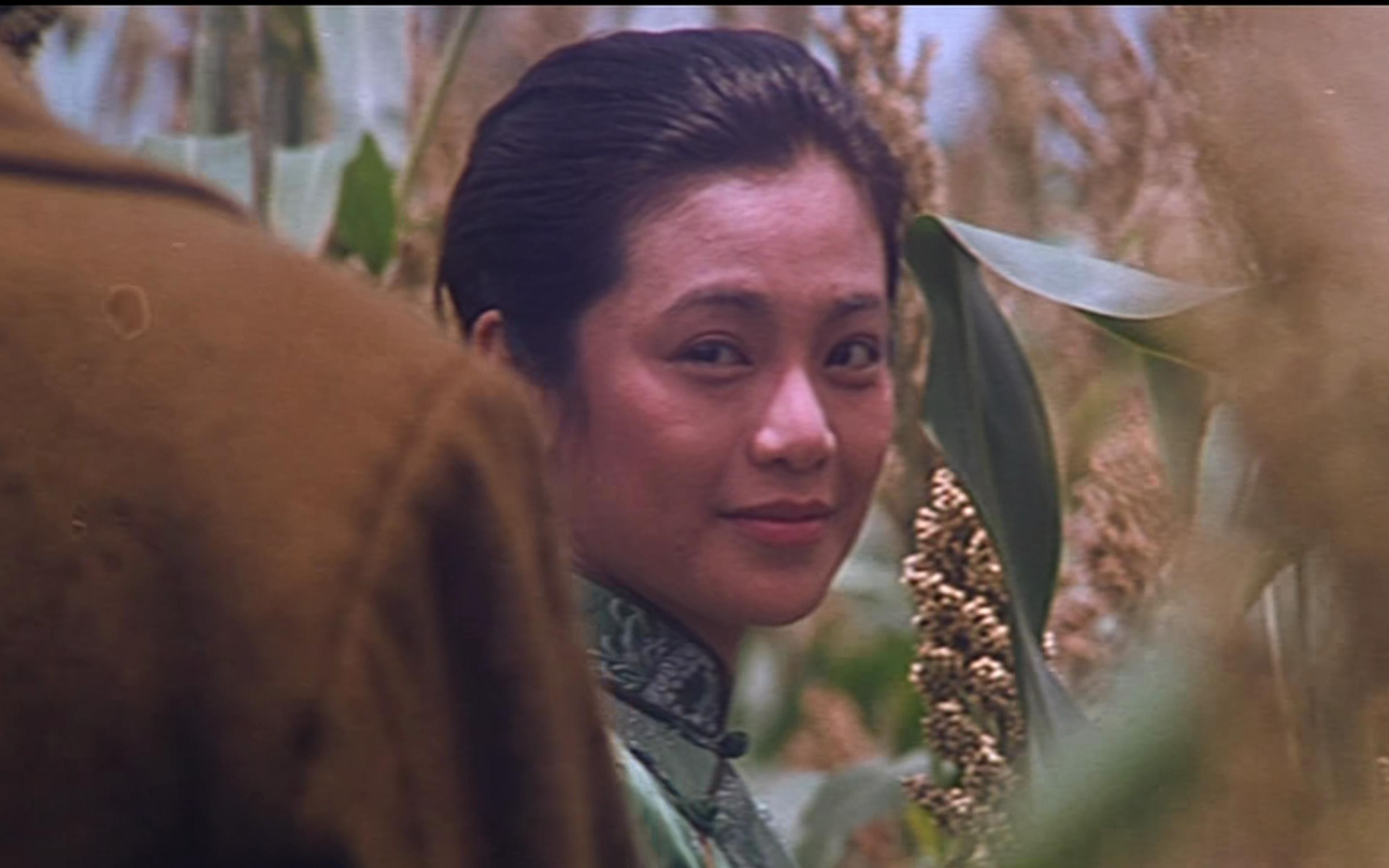 张艾嘉你笑起来真好看老片高梁地里大麦熟光棍唱歌