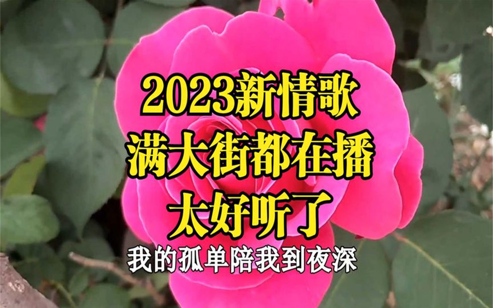 [图]2023又火了一首新歌，朋友圈播火了，深情的歌声，唱出无缘的爱！