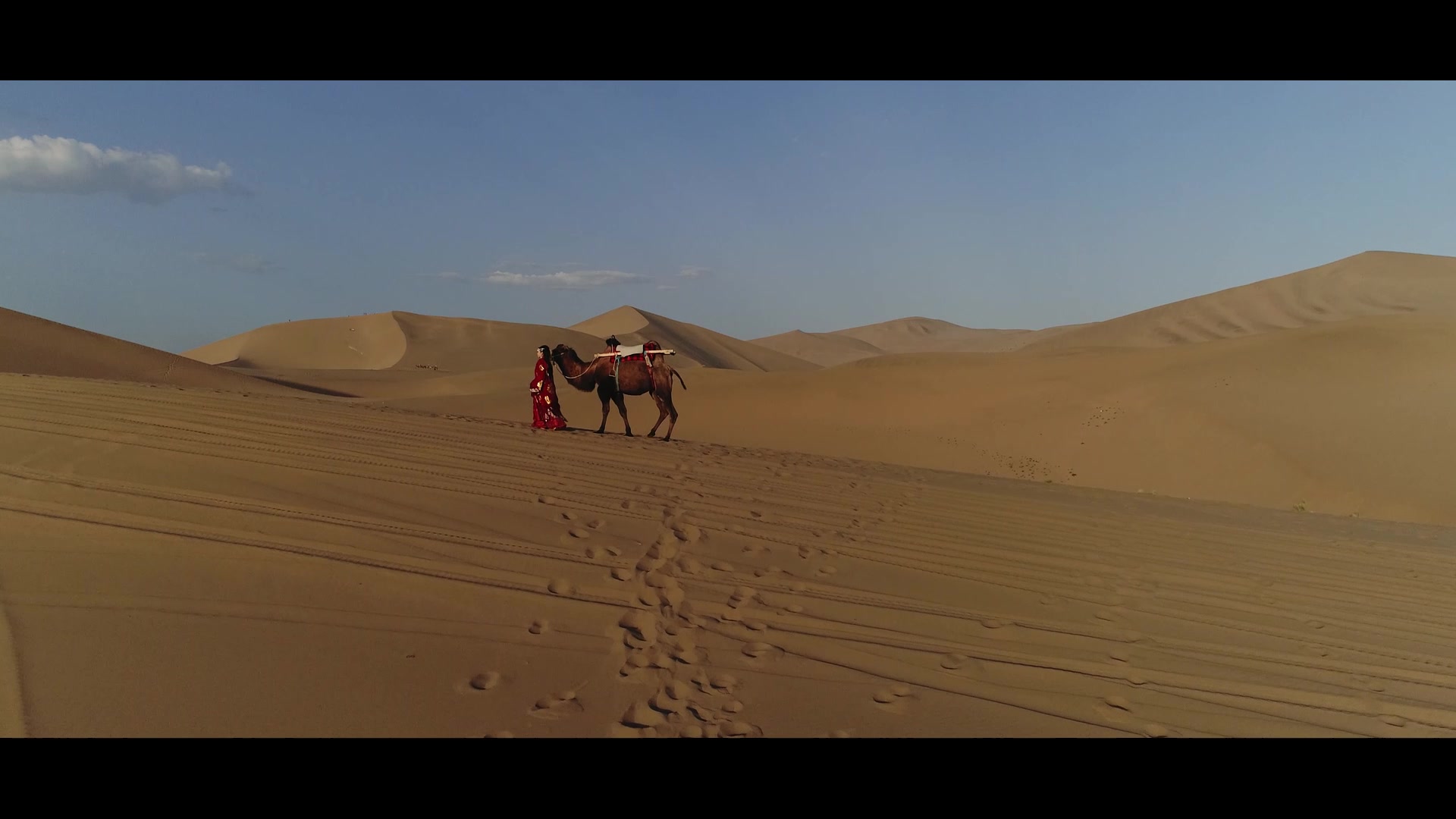 【沙如雪】大漠红衣,只等一人归——流云蕊作品