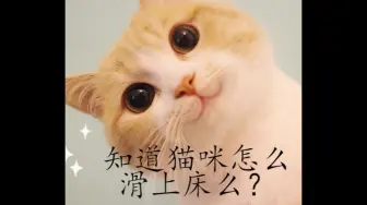 Download Video: 【李东海】液体猫猫就是这样滑上床的